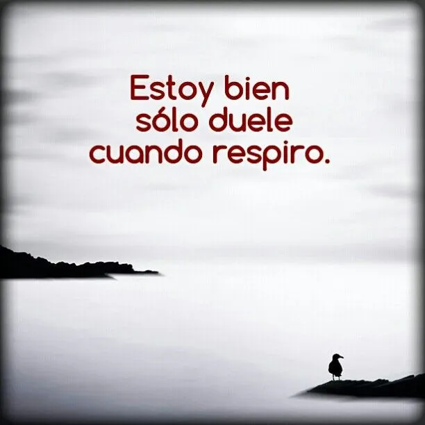 PESAME on Pinterest | Frases, Te Amo and Te Quiero PESAME on Pinterest | Frases, Te Amo and Te Quiero