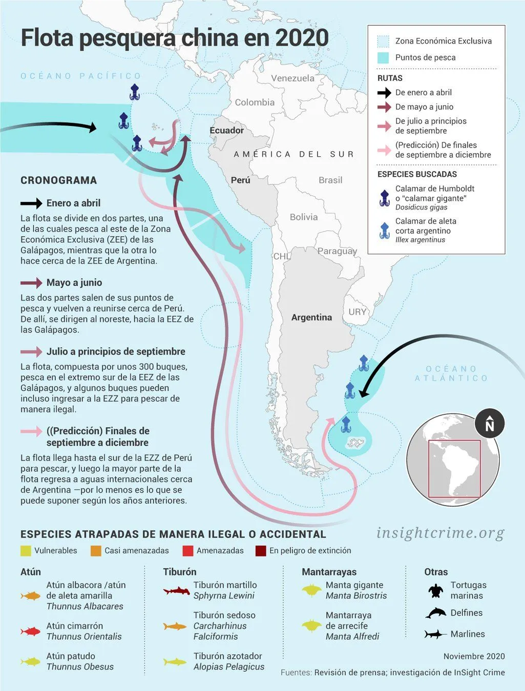 Pesca ilegal china en las Galápagos: una amenaza para la biodiversidad del Pacífico Latinoamericano | openDemocracy Pesca ilegal china en las Galápagos: una amenaza para la biodiversidad del Pacífico Latinoamericano | openDemocracy