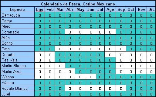 Donde Pescar :: Especies del Caribe Mexicano III: El Pez Vela Donde Pescar :: Especies del Caribe Mexicano III: El Pez Vela