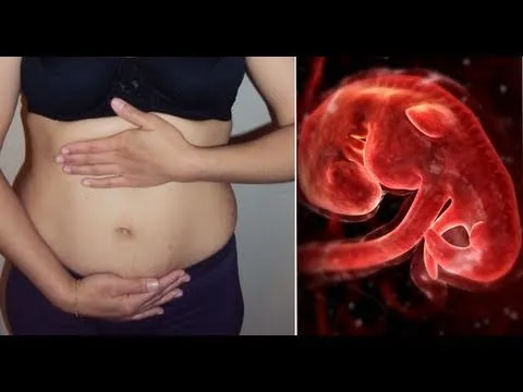 1 peso y medidas de bebes en gestacion Bajar de Peso Descarga Gratuita