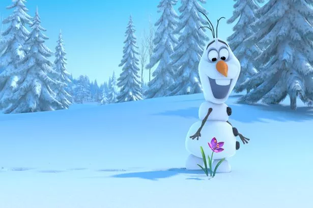 Pet rabbit named after Frozen character loses ears - after they ... Pet rabbit named after Frozen character loses ears - after they ...