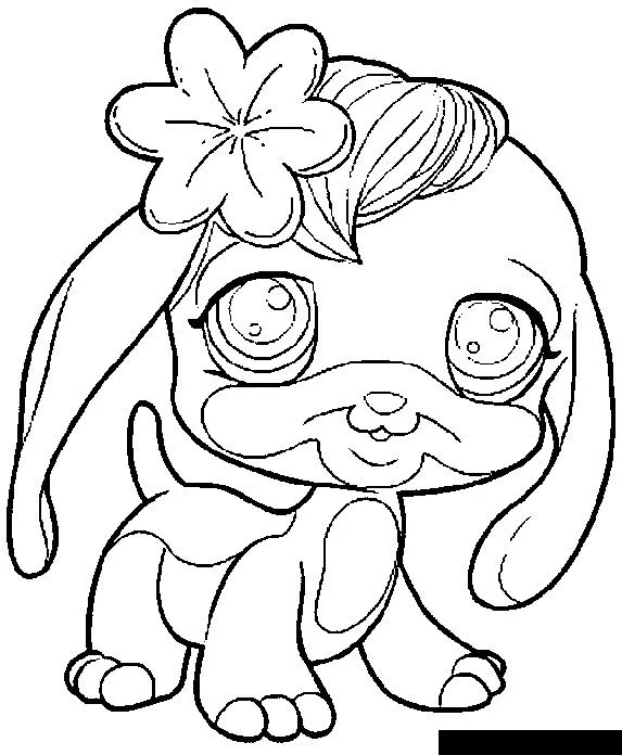 Pet shop para colorear - Imagui