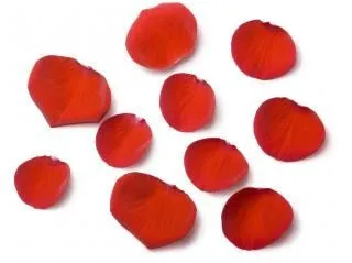 pétalos de rosa, rojo | Descargar Fotos gratis
