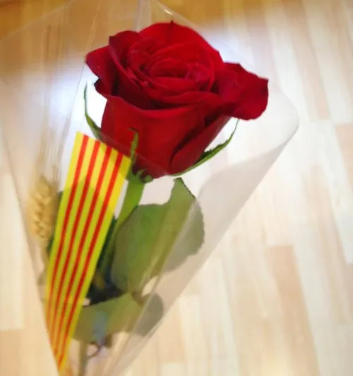 pétalos de rosa | Tumblr