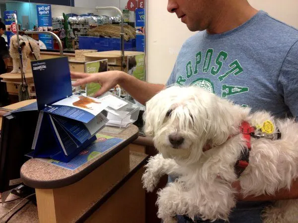 Petsmart | ¡El Blog.info!