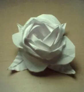 PeuBlog: ¿Origami o papiroflexia?