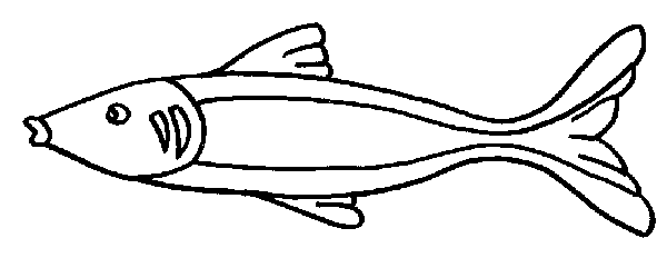 peces-pintar-manualidades- ...