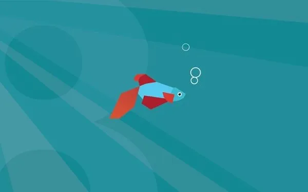 Pez-betta.jpg