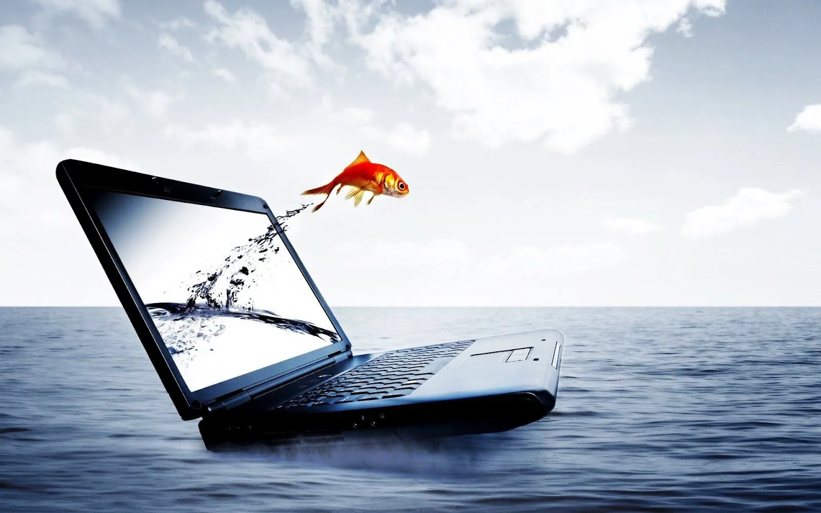 Pez saltando de una laptop hacia el mar - Imaginación | Banco de ... Pez saltando de una laptop hacia el mar - Imaginación | Banco de ...