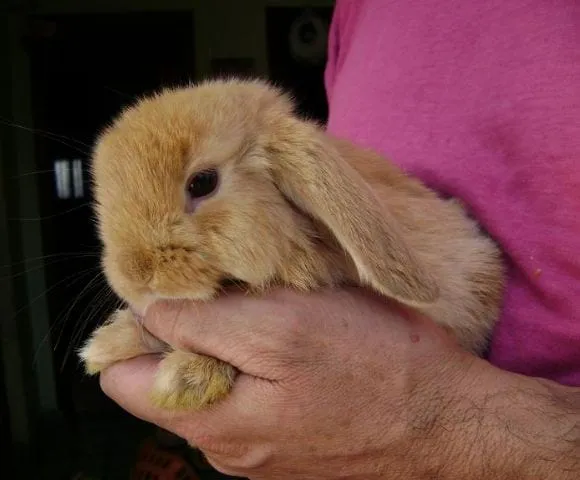 ph-2202012111330PM-S-3449-mini ...