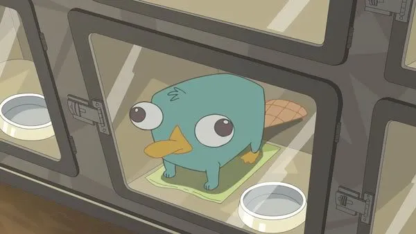 Phineas y Ferb España: Perry el Ornitorrinco Phineas y Ferb España: Perry el Ornitorrinco