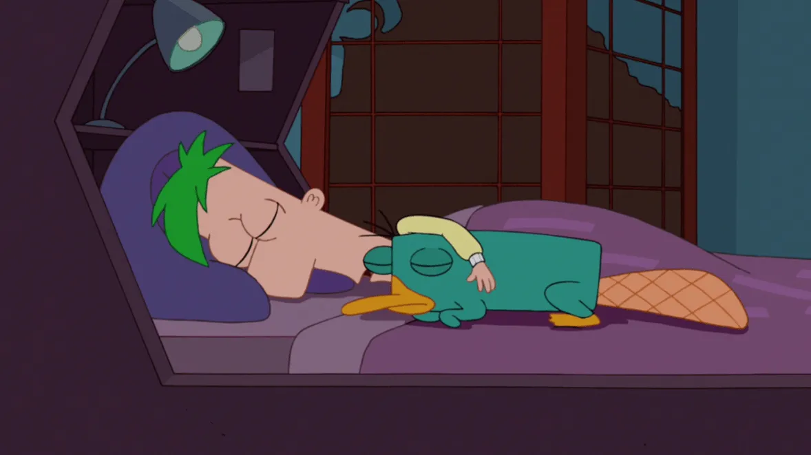 Fer durmiendo con Perry