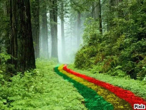 Photo montage paisaje rasta - Pixiz