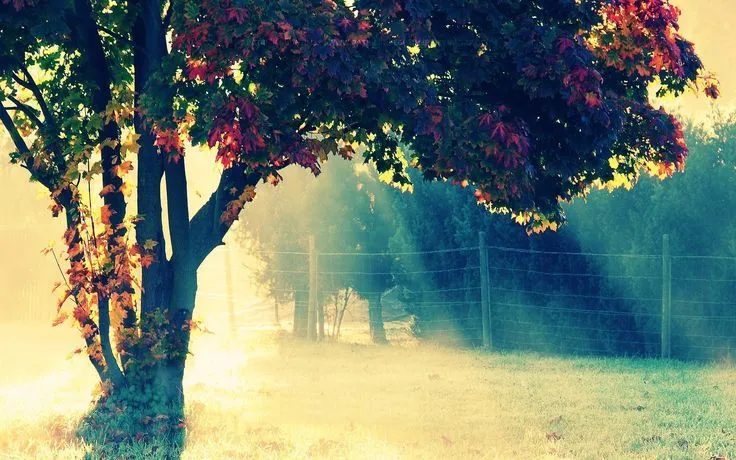Photography Tumblr Wallpapers HD Wallpaper 1200x1920px Tumblr ... Photography Tumblr Wallpapers HD Wallpaper 1200x1920px Tumblr ...