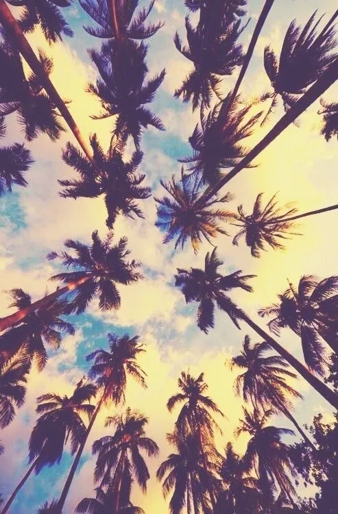 Photos summer tumblr backgrounds
