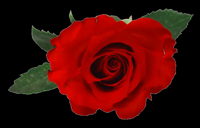 COSAS PARA PhotoScape: IMÁGENES PARA PHOTOSCAPE, PHOTOSHOP Y GIMP ... COSAS PARA PhotoScape: IMÁGENES PARA PHOTOSCAPE, PHOTOSHOP Y GIMP ...