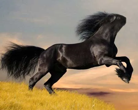 photoshopchimera-4.jpg