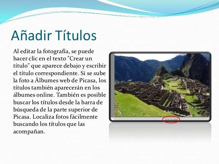 picasa-12-728.jpg?cb=1255456294