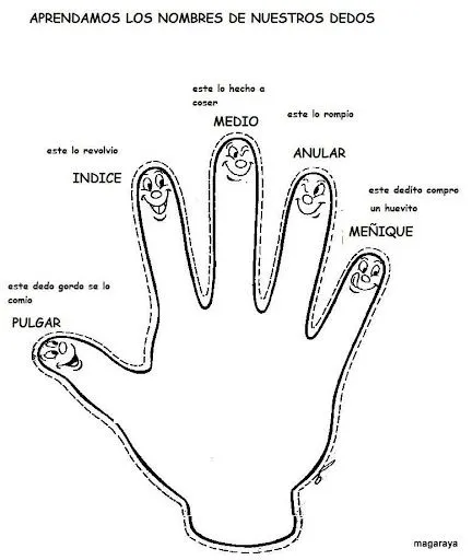 Libros para colorear partes del cuerpo - Imagui Libros para colorear partes del cuerpo - Imagui