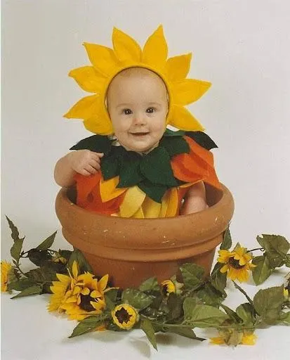 Picasa Web Albums - eldedalencantado