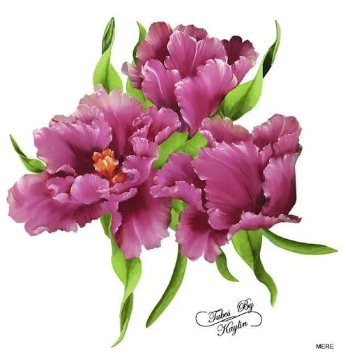 Picasa Web Albums - Mercedes Gonzalez
