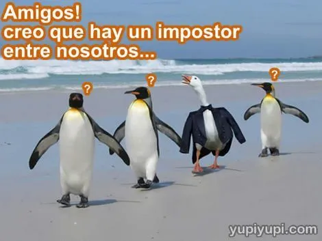 Animales Chistosos on Pinterest