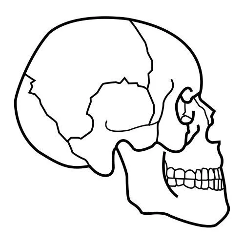 PICTOGRAMAS DEL CUERPO HUMANO PARA NIÑOS