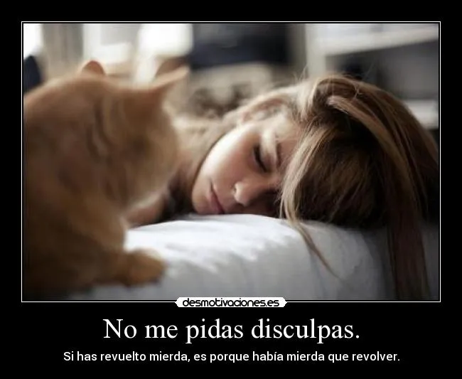 No me pidas disculpas. | Desmotivaciones