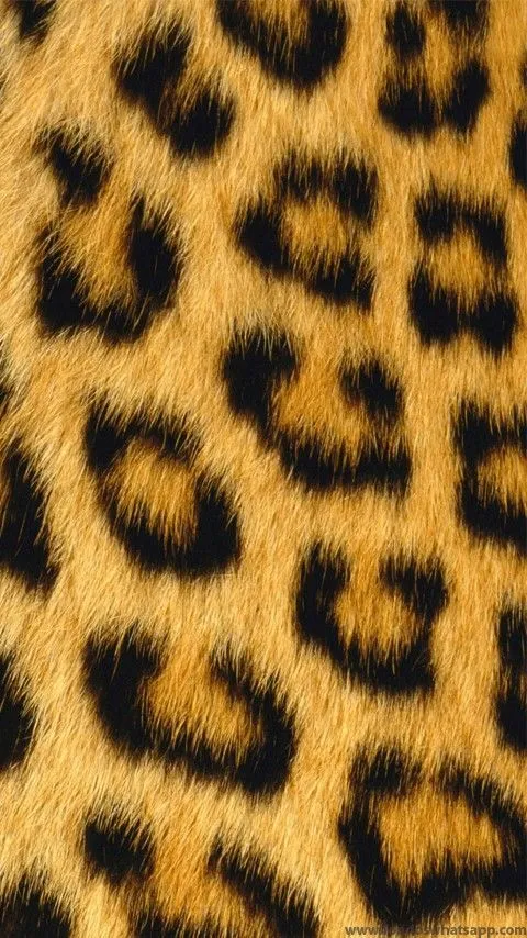 Piel leopardo | Fondos de pantalla para celular | Pinterest