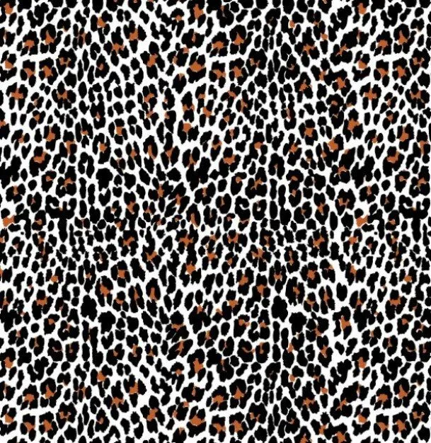 Piel de leopardo, patrón de la piel de animales salvajes ...
