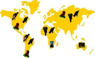 PIENSE DIFERENTE - APRENDA EL CAJURZOO JUEGO CIENCIA DEL SIGLO XXI ...