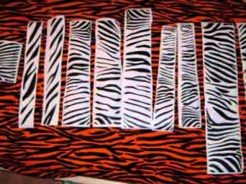 pimp my bike zebra - YouTube