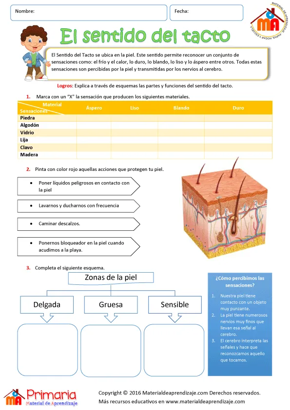 Pin en biología