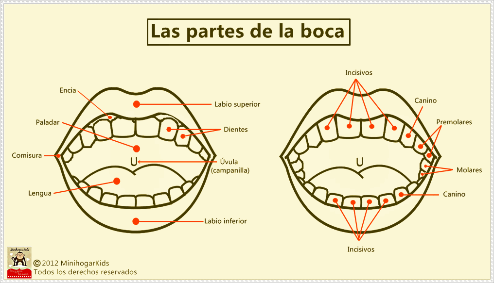 Pin Boca Para Pintar Imágenes Mil on Pinterest Pin Boca Para Pintar Imágenes Mil on Pinterest