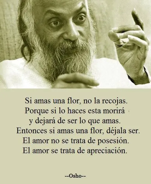 Pin by Charlotte de Oca on Frases Osho | Pinterest