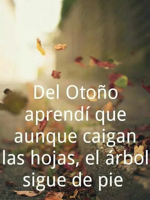 Pin by M. Jose Vaquero on FRASES - CITAS | Pinterest | Hay and Autumn Pin by M. Jose Vaquero on FRASES - CITAS | Pinterest | Hay and Autumn