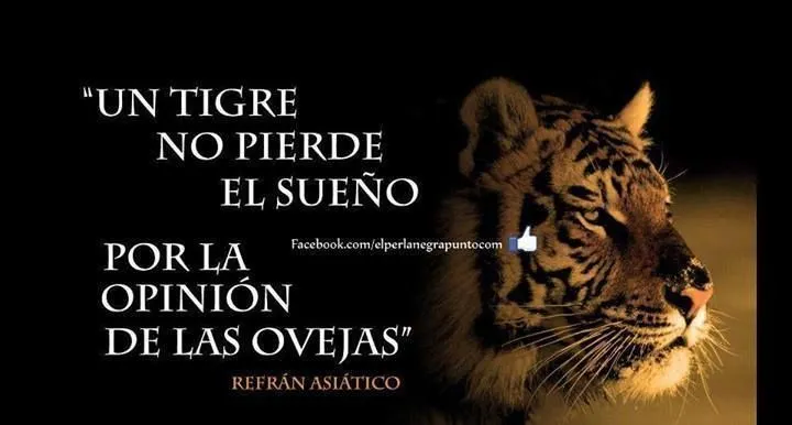 Pin by Moisés Castro on Frases de motivación | Pinterest Pin by Moisés Castro on Frases de motivación | Pinterest