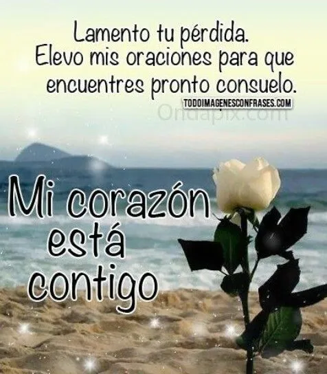 Pin by Maricela Zaldivar on Mi más sentido pésame | Pinterest Pin by Maricela Zaldivar on Mi más sentido pésame | Pinterest