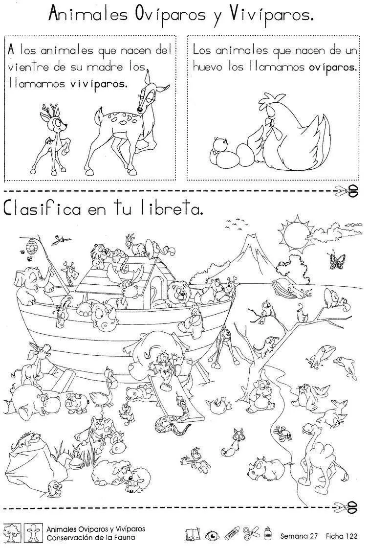 Pin de Cecilia Gramaglia en ciencias naturales | Animales oviparos y viviparos, Ciclo de vida animales, Animales viviparos Pin de Cecilia Gramaglia en ciencias naturales | Animales oviparos y viviparos, Ciclo de vida animales, Animales viviparos