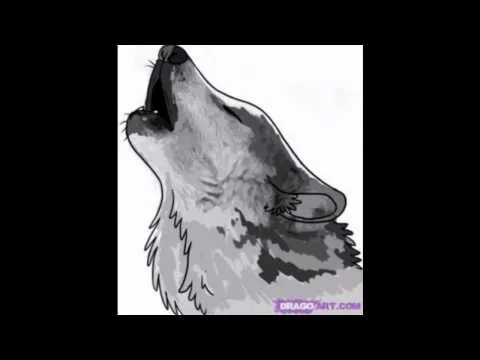 Dibujos a lapiz de lobos aullando - Imagui