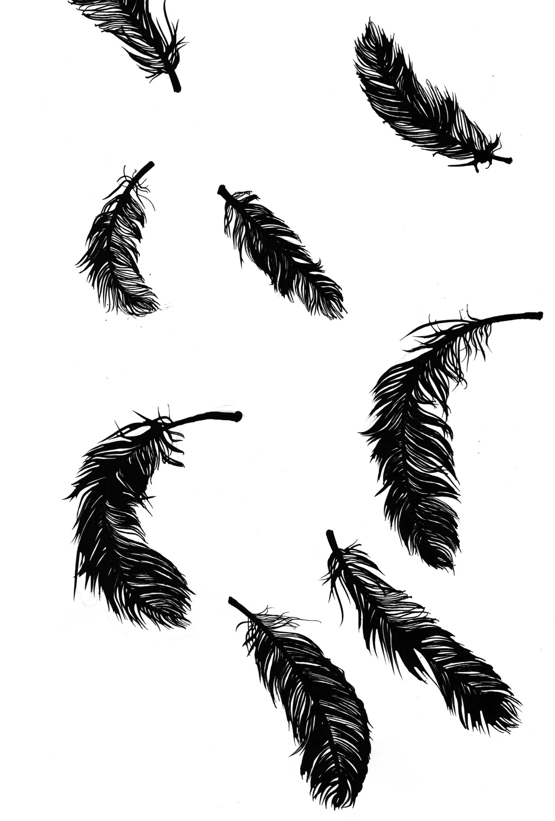Pin Dibujo De Plumas Pavo Real Para Colorear on Pinterest Pin Dibujo De Plumas Pavo Real Para Colorear on Pinterest