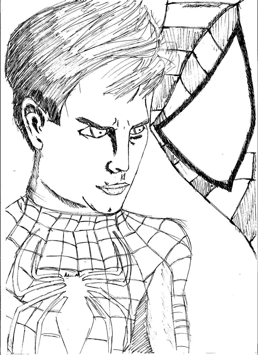 Pin Dibujos Para Colorear Spiderman Spider Man Kamistad Celebrity ...