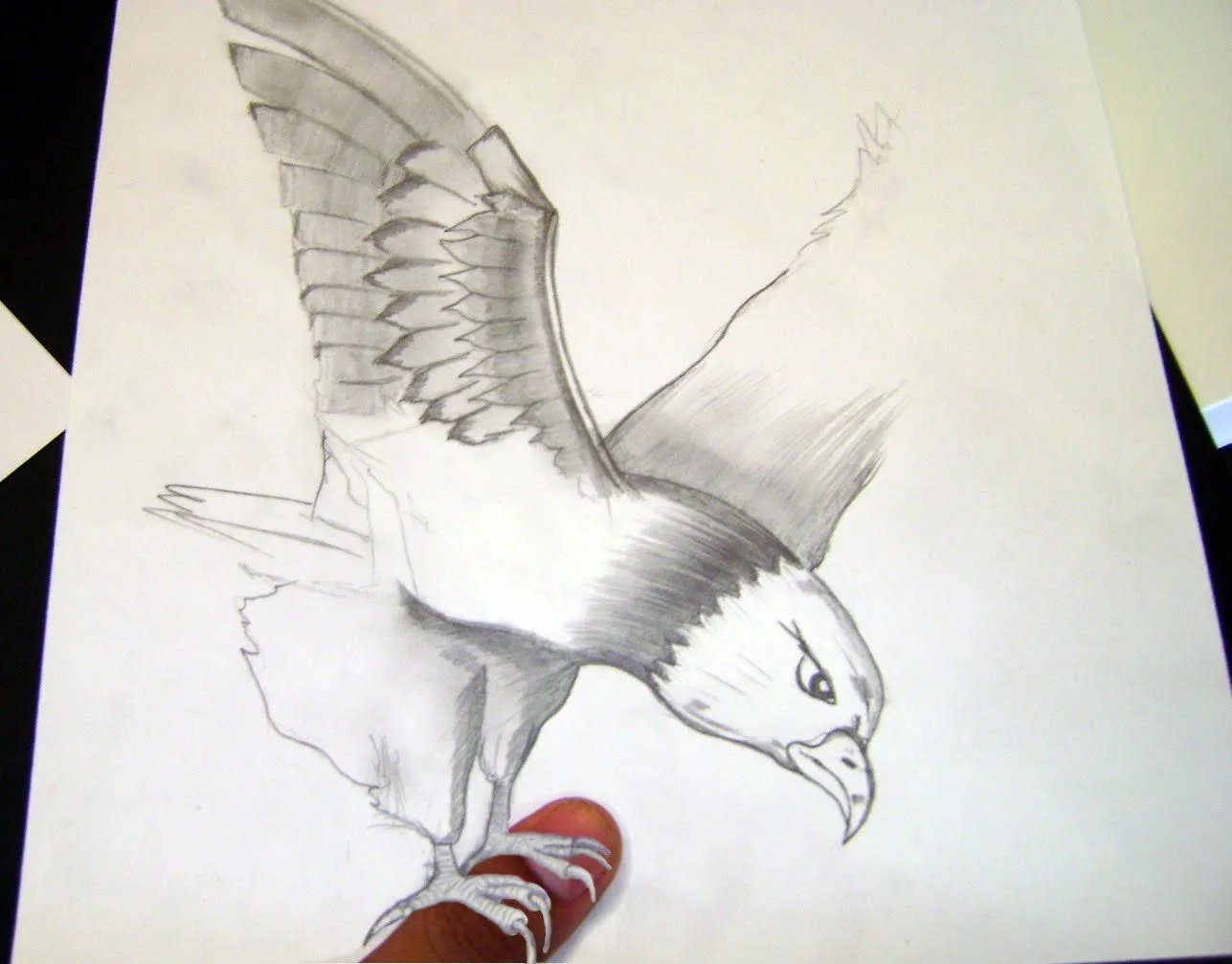 Pin Dibujos Lapiz Aguilas Kamistad Celebrity Pictures Portal on ... Pin Dibujos Lapiz Aguilas Kamistad Celebrity Pictures Portal on ...