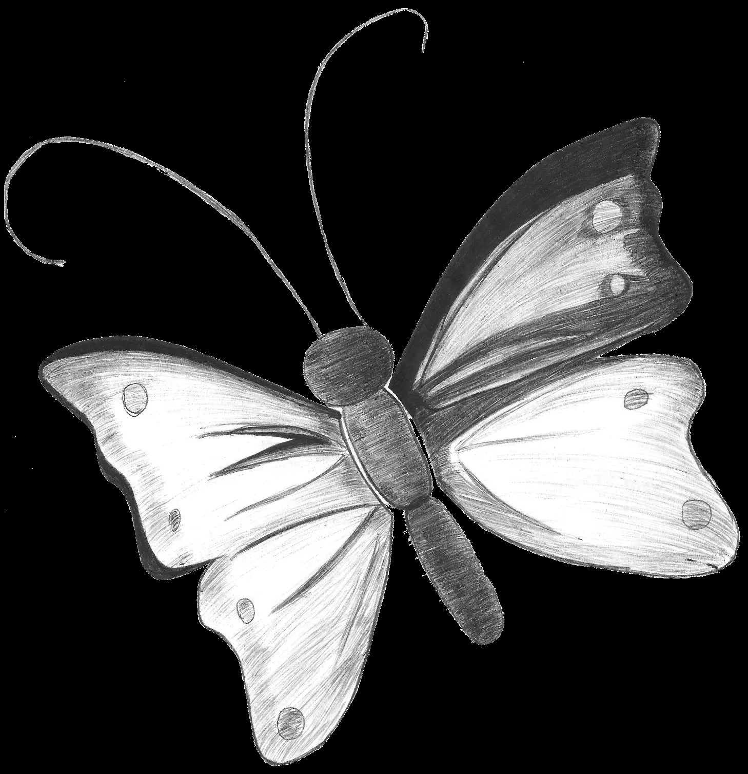 Pin Dibujos Mariposas Lapiz Todo Para Facebook Imagenes Kamistad ... Pin Dibujos Mariposas Lapiz Todo Para Facebook Imagenes Kamistad ...