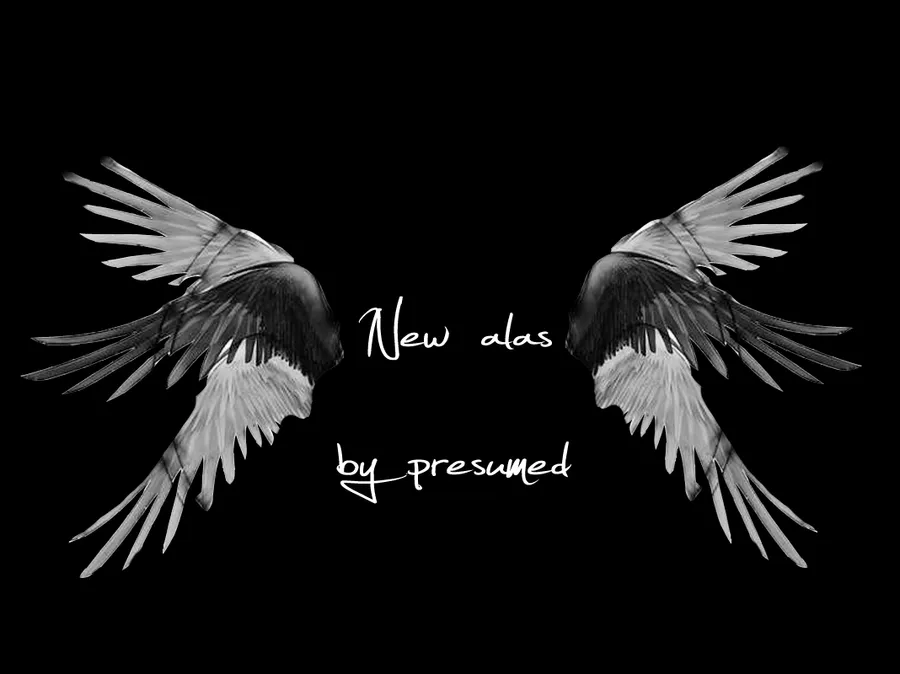 Pin Download New Alas Angel Wings Psd For Photoshop Brushouse on ...