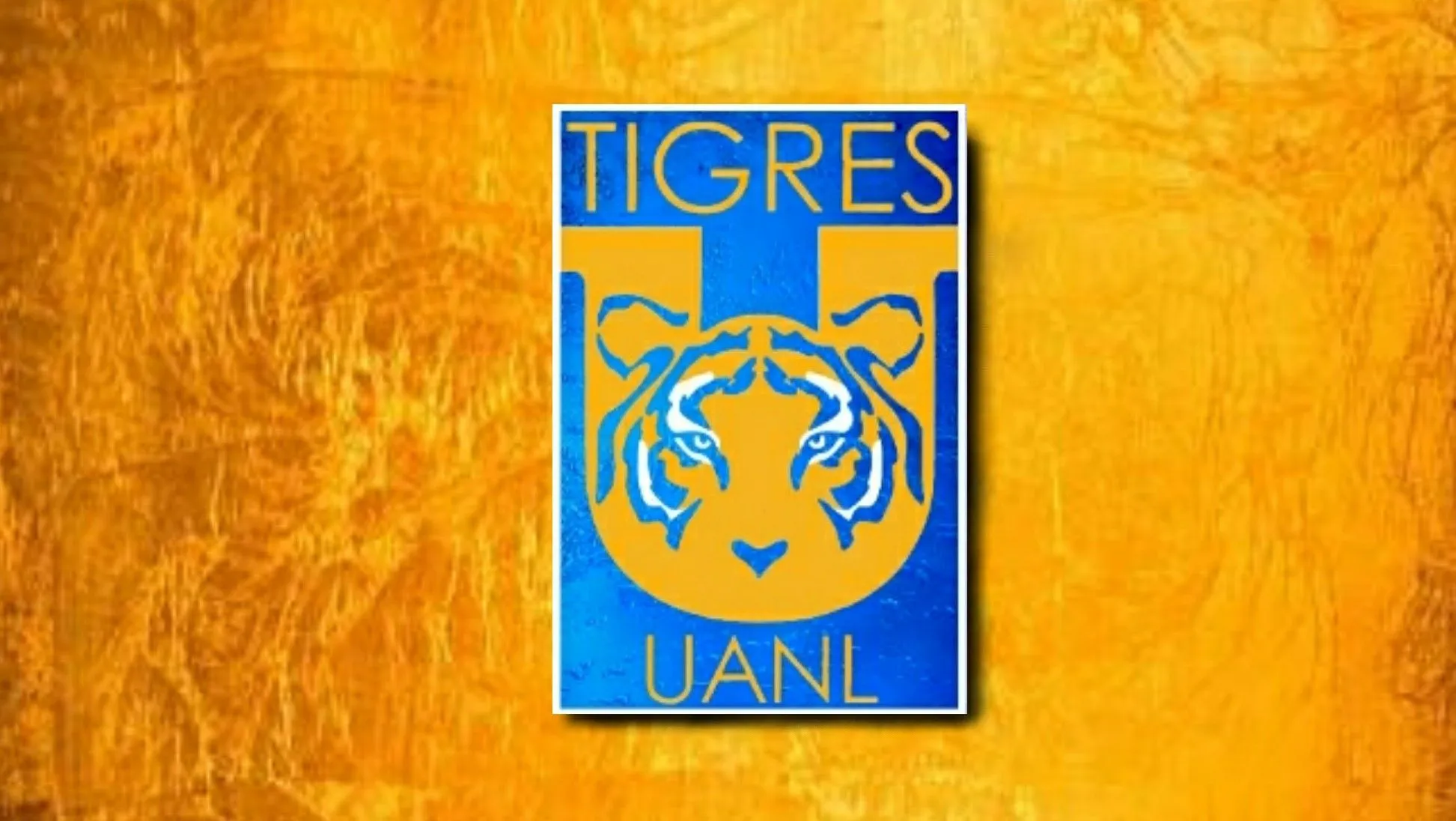 Pin de Eduardo Rivera en Tigres de la U.A.N.L. Wallpapers | Escudo de tigres, Tigres, Tigres uanl Pin de Eduardo Rivera en Tigres de la U.A.N.L. Wallpapers | Escudo de tigres, Tigres, Tigres uanl