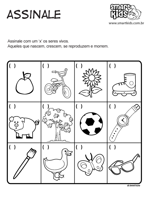 Pin em ciencias naturales primaria