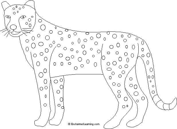 Chita dibujo - Imagui