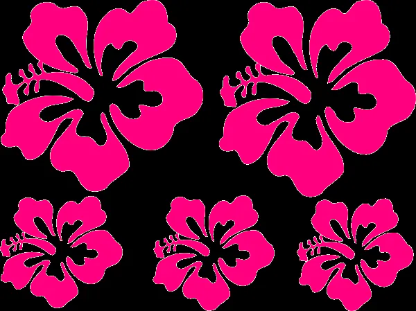 Flor vector hawaiana - Imagui