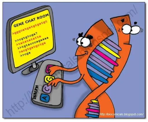 Pin Imagenes Biologia Quimica Dibujos Del Cuerpo Humano Y Sus ...